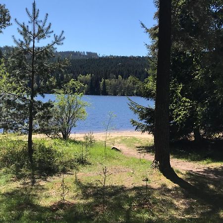 Rodinne Ubytovani Krauskopfovi Lipno nad Vltavou Εξωτερικό φωτογραφία