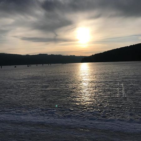Rodinne Ubytovani Krauskopfovi Lipno nad Vltavou Εξωτερικό φωτογραφία
